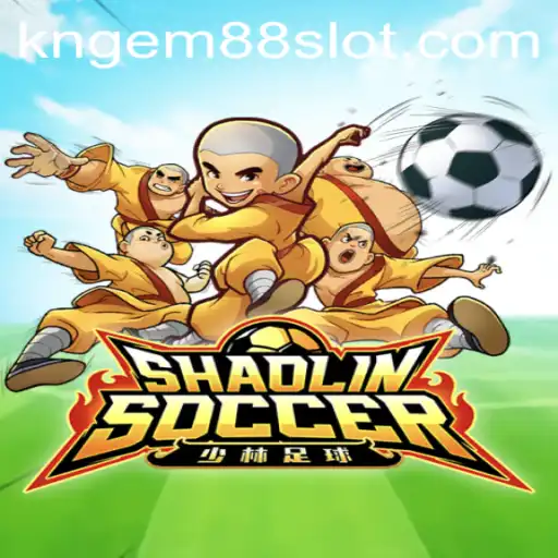 Exploring the Excitement of ShaolinSoccer